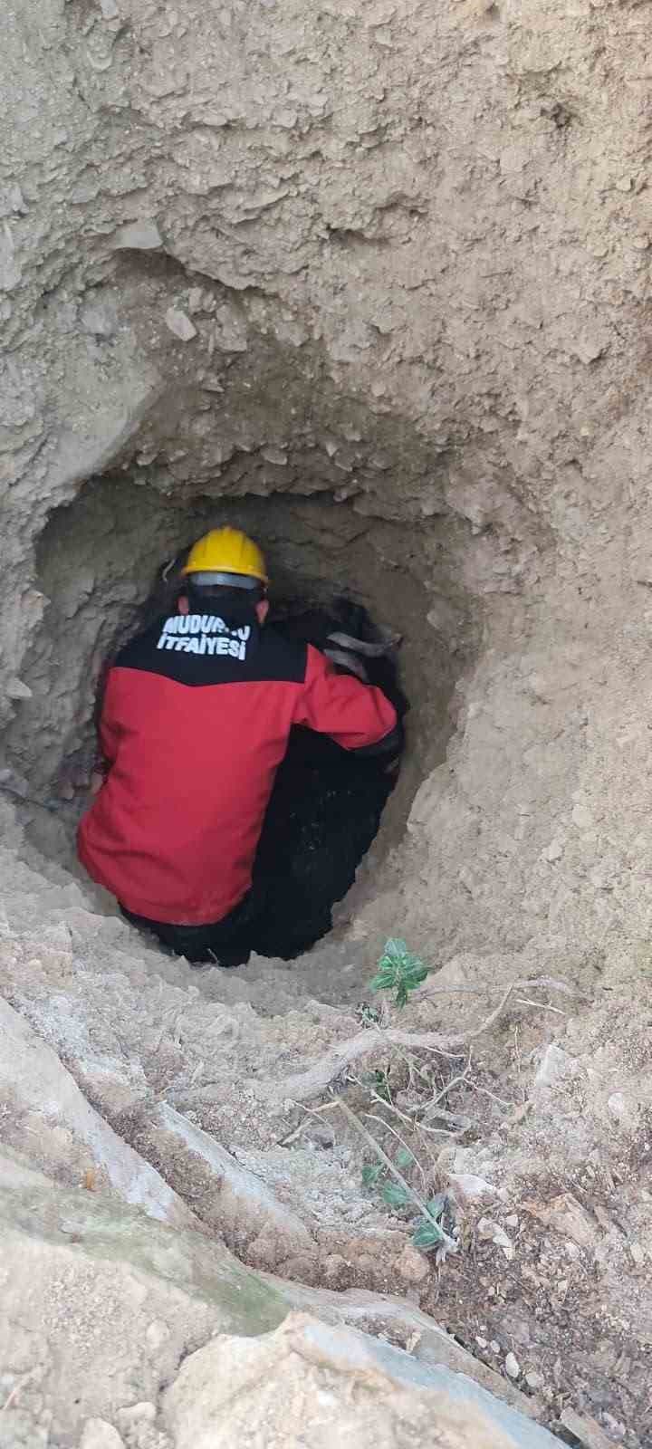 Bolu'da Keçi Kurtarma Operasyonu: İtfaiye Ekipleri Çukurdan Hayvanı Çıkardı