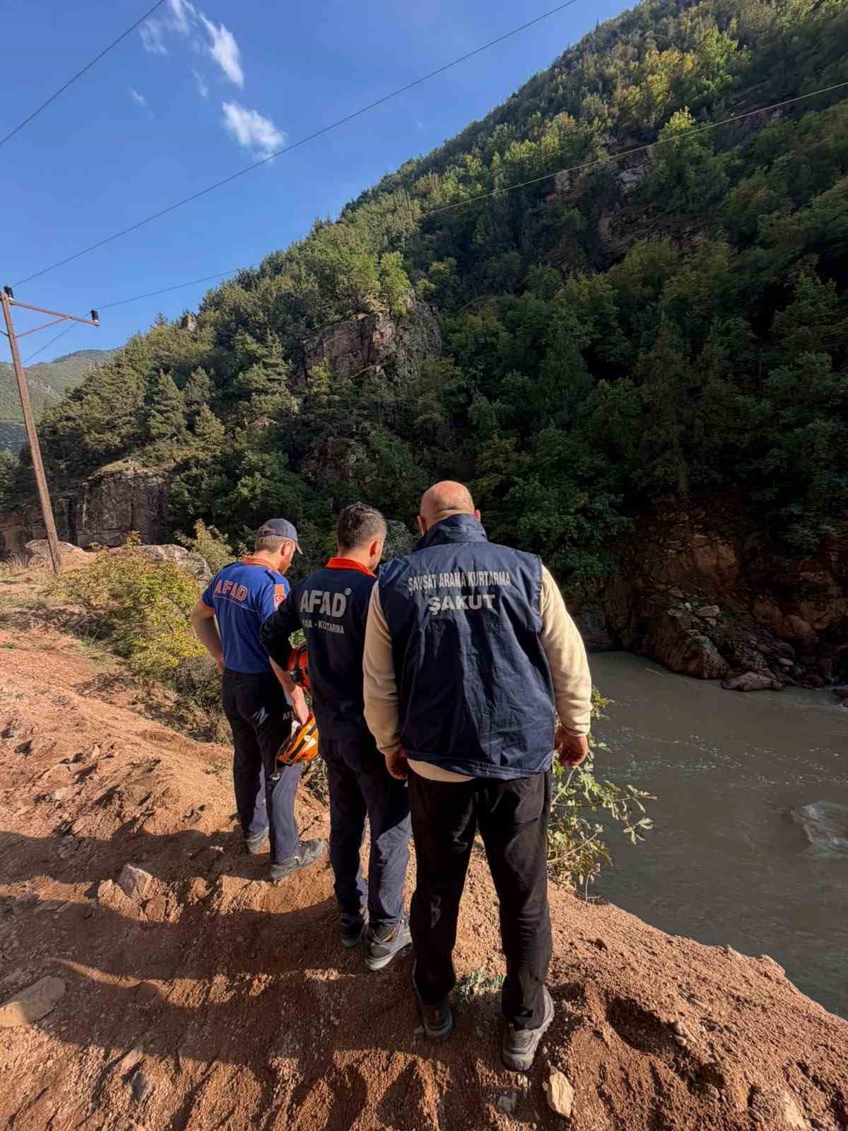 Artvin’de araç dereye düştü: 1 yaralı