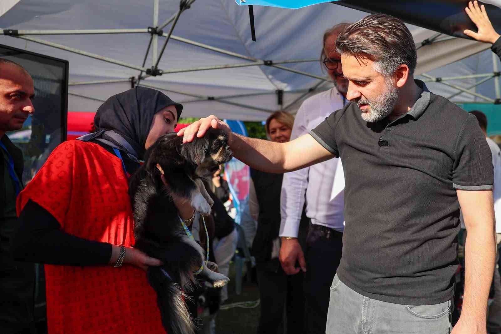 Büyükşehir'den Hayvan Dostları İçin Yuva Programı