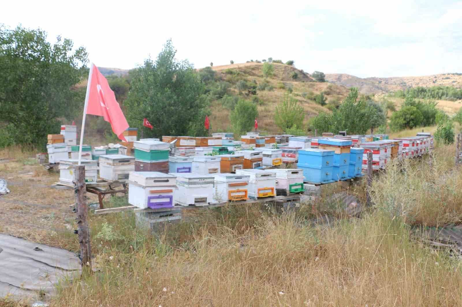 Erzincan'da Arıcılık Faaliyetleri Milli Duyarlılıkla Öne Çıktı