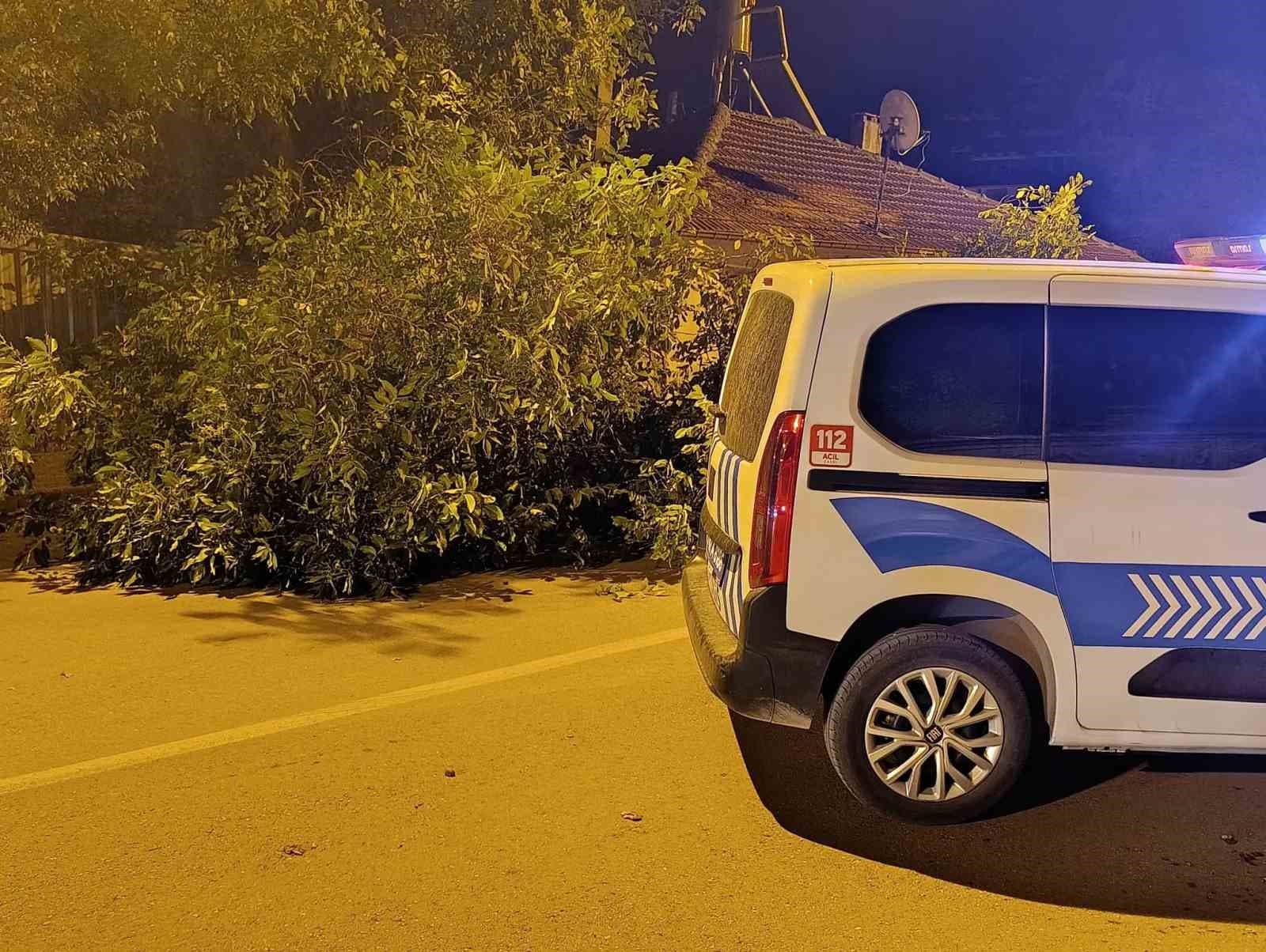 Beyşehir'de Yola Devrilen Ağaç Dalları Trafiği Etkiledi