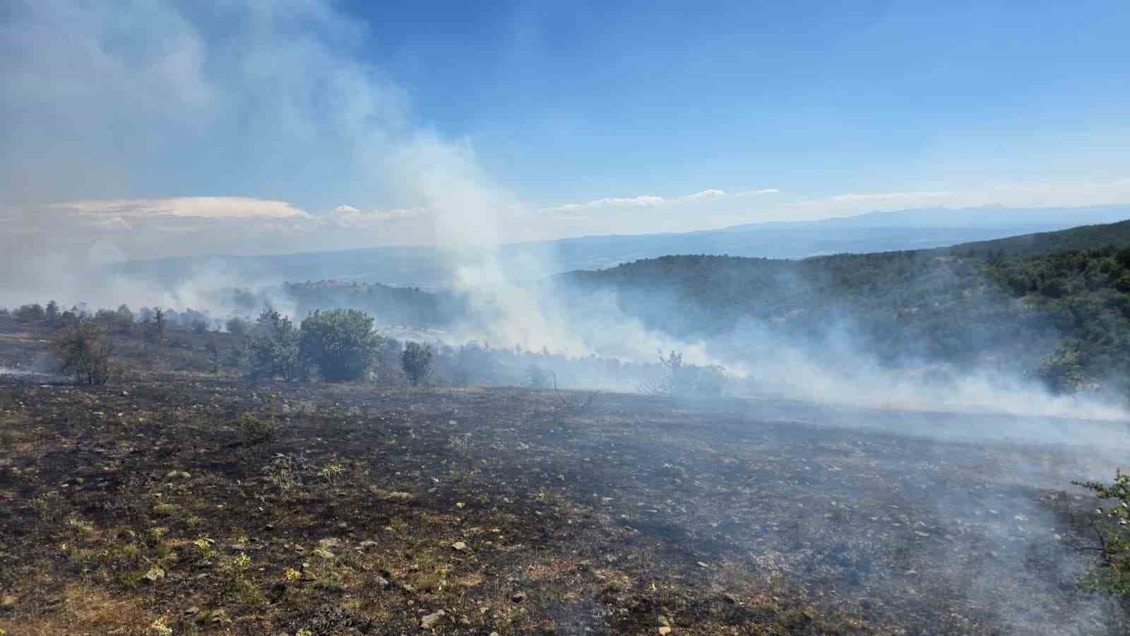 Kastamonu Taşköprü'de Orman Yangını Kontrol Altına Alındı