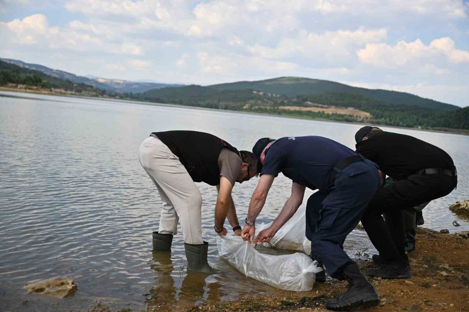 Uşak'ta Göğem Göleti'ne Pullu Sazan Yavruları Bırakıldı