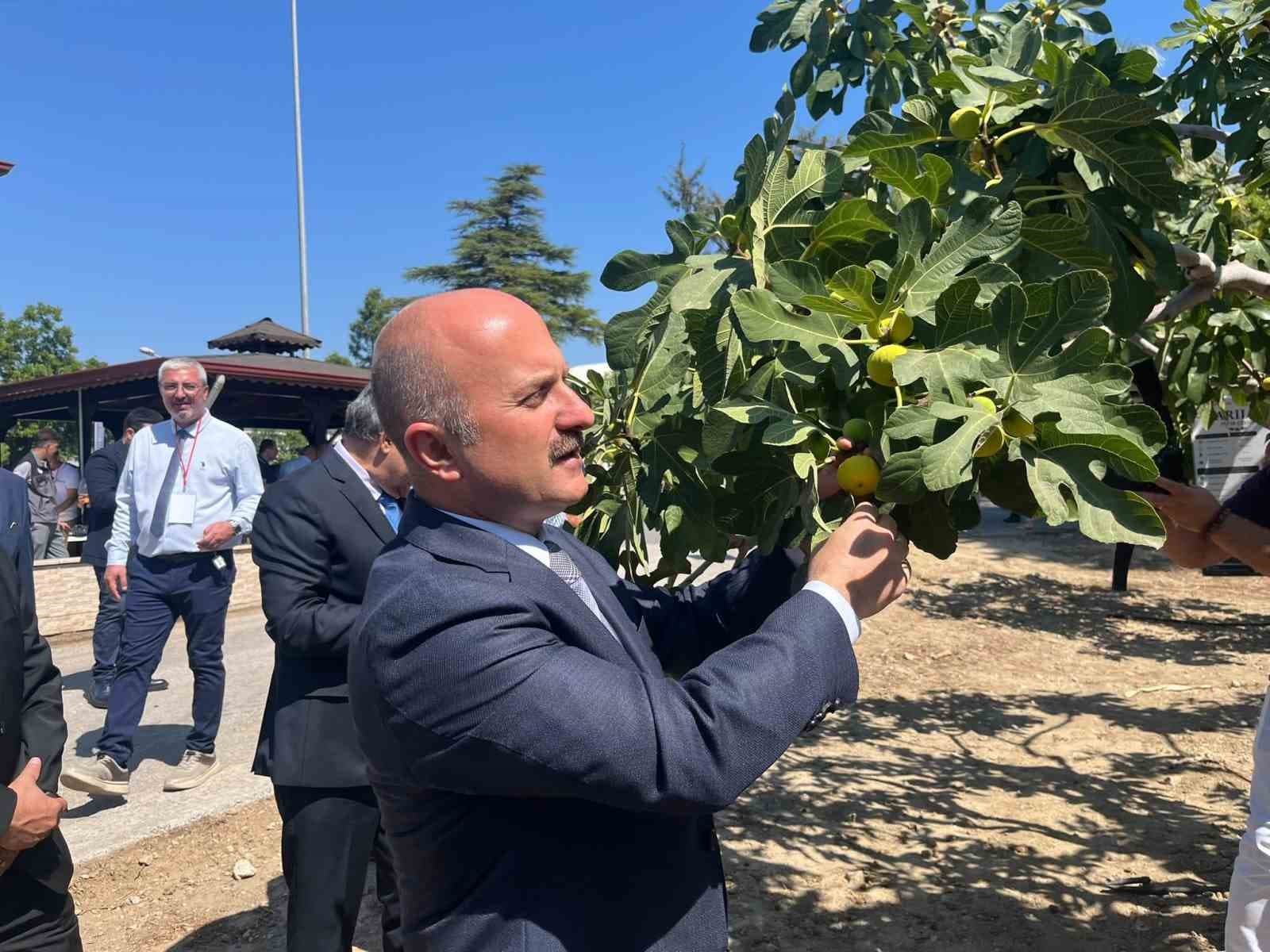 Aydın'a 100 Milyon TL Yatırım Planı: İncir Çalıştayı'nda Kritik Kararlar Alınıyor