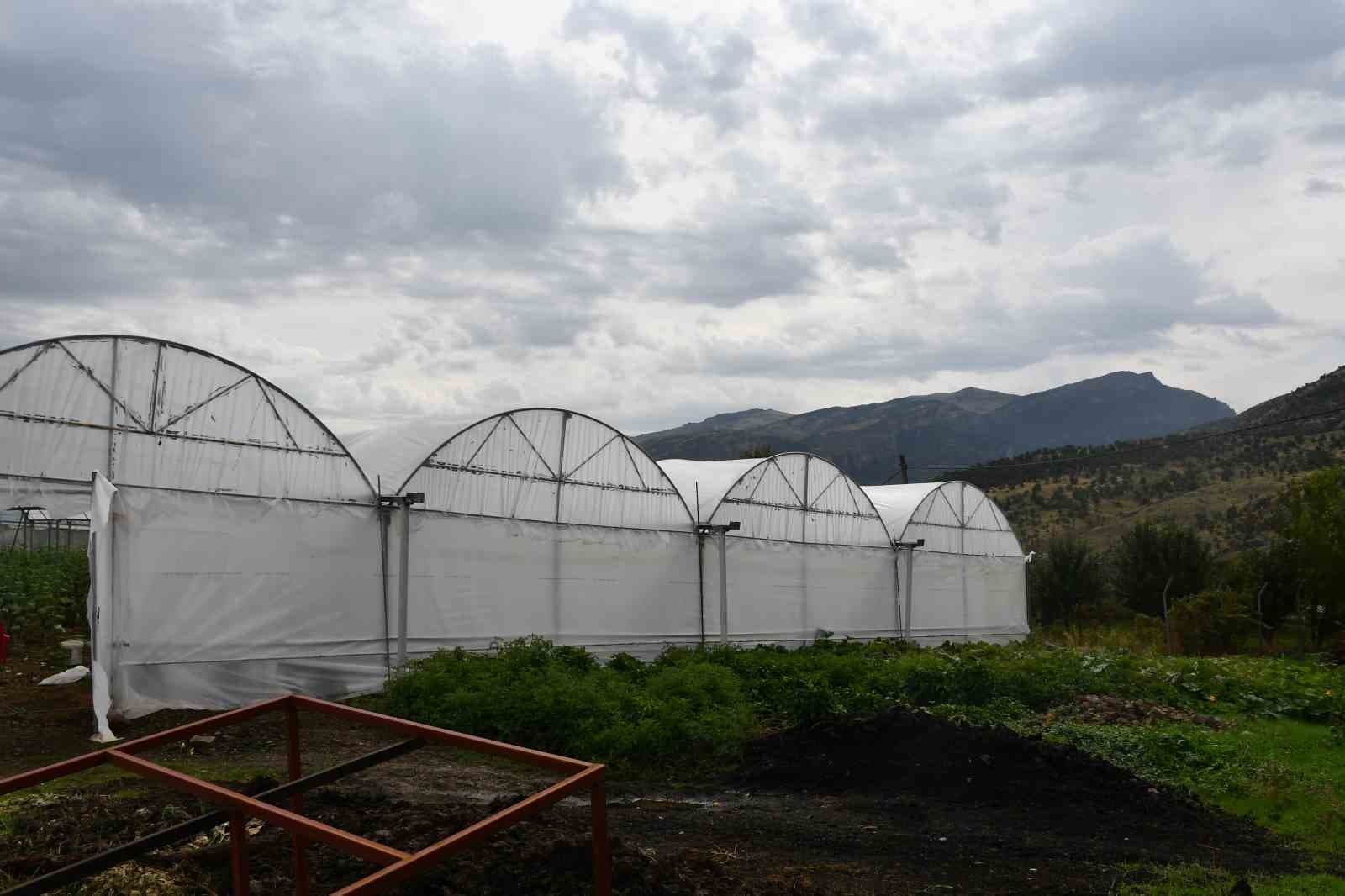 Devletten aldıkları yüzde 50 hibe ile ailelerin kurduğu seralar gelir kaynakları oldu