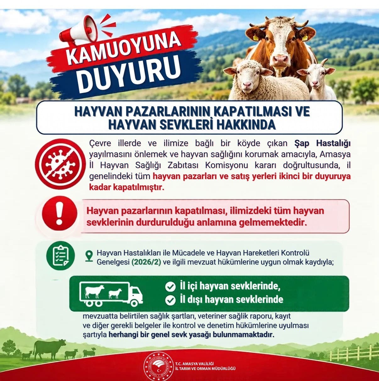 Amasya'da Şap Hastalığı Tedbiri: Hayvan Pazarları Kapatıldı