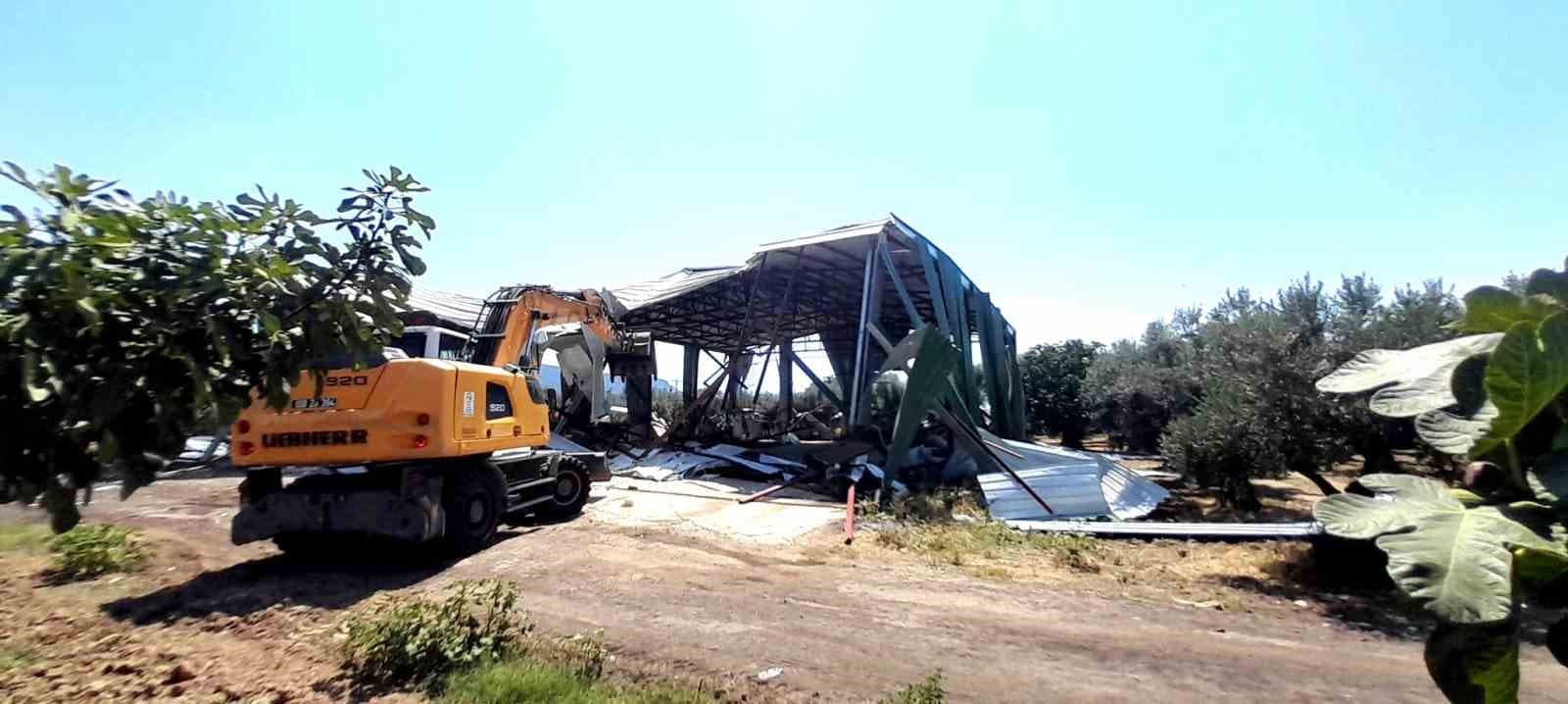 Bursa Osmangazi'de Zeytinlikteki Kaçak Depo Yıkıldı