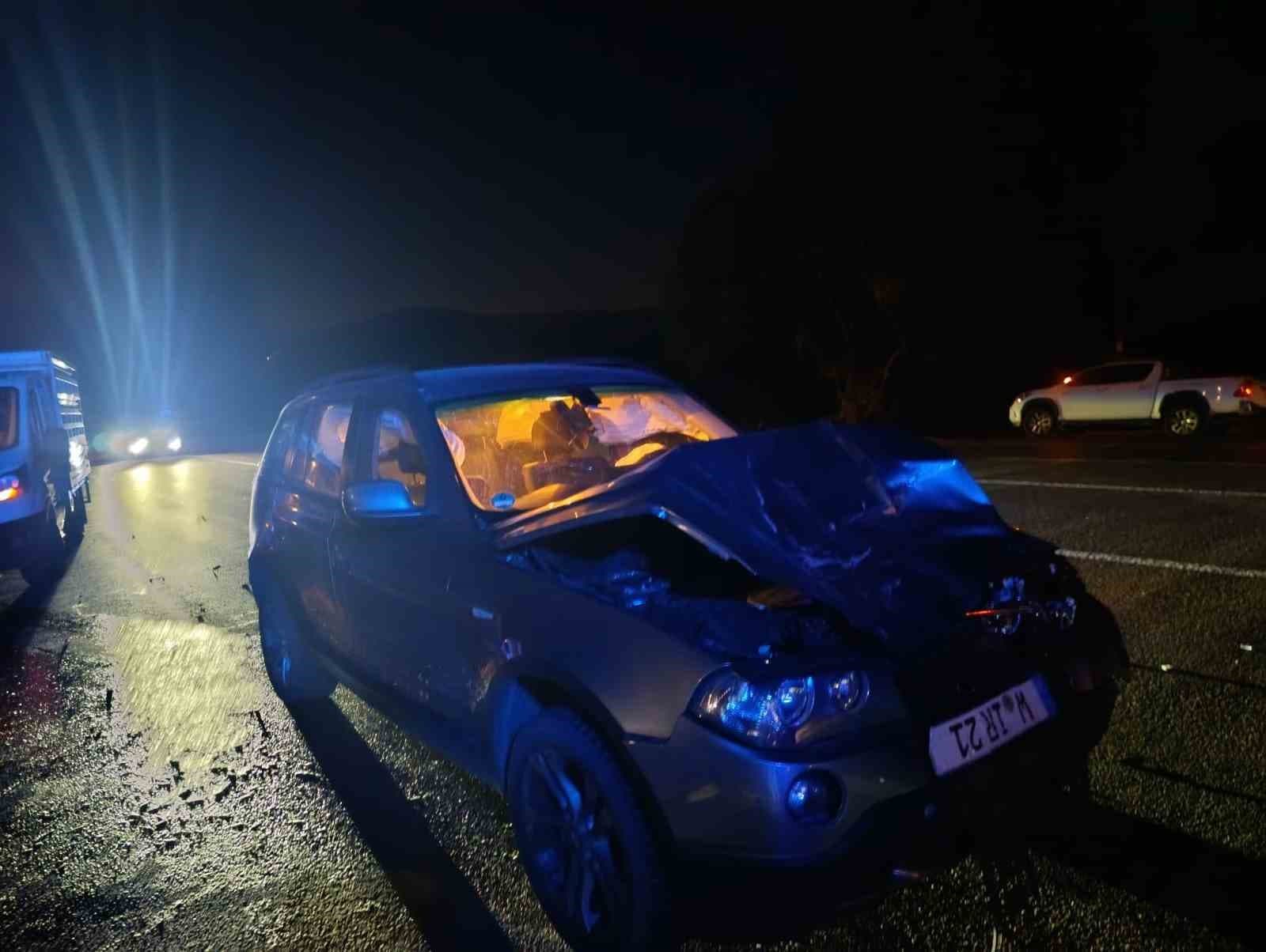 Bingöl'de Otomobil Ata Çarptı: Bir Kişi Yaralandı