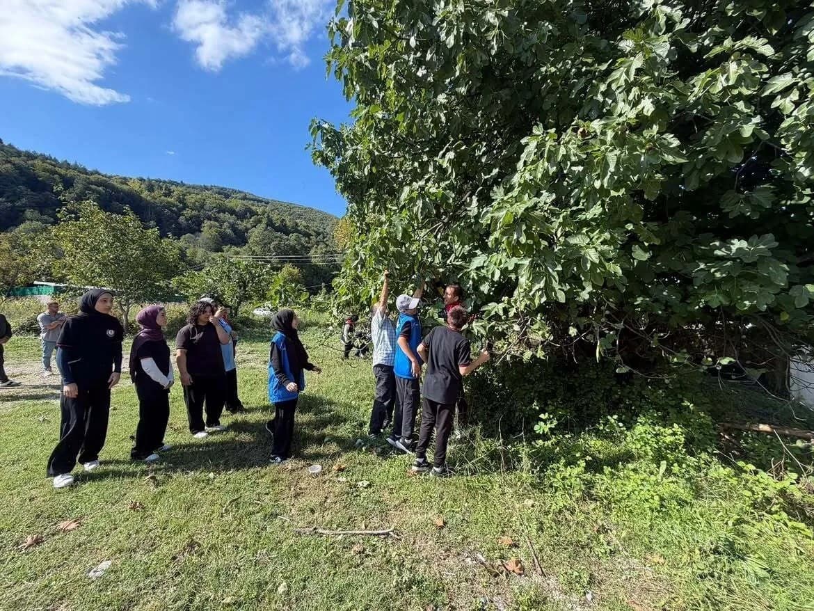 Gençlerin Hasat Faaliyeti: Üretime Katkı ve Paylaşma Kültürü