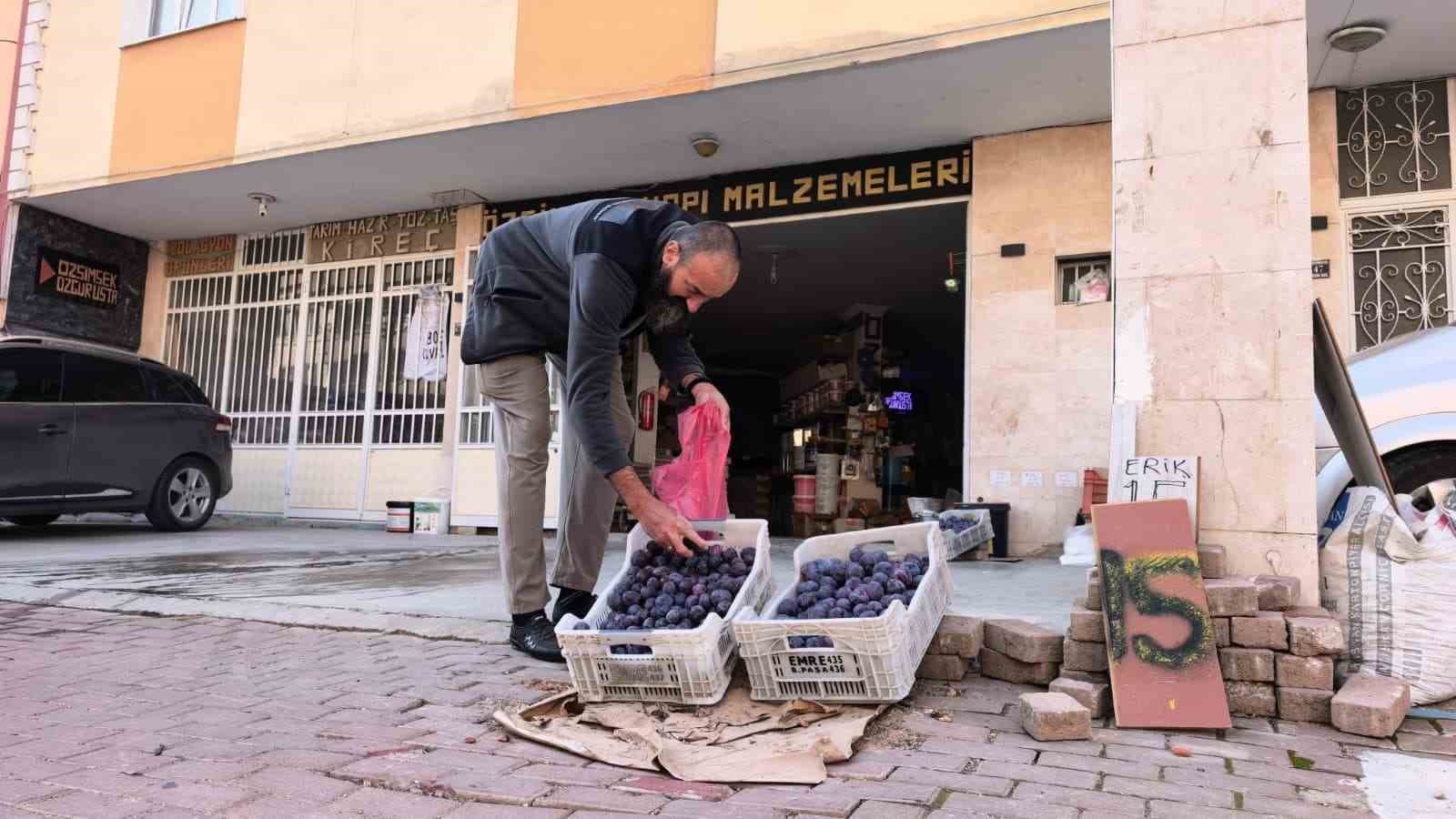 Bursalı Çiftçi Özgür Şimşek, Ürünlerini Satamadı: Erikleri Çöpe Atmak Yerine Sosyal Medya Fenomeni Oldu