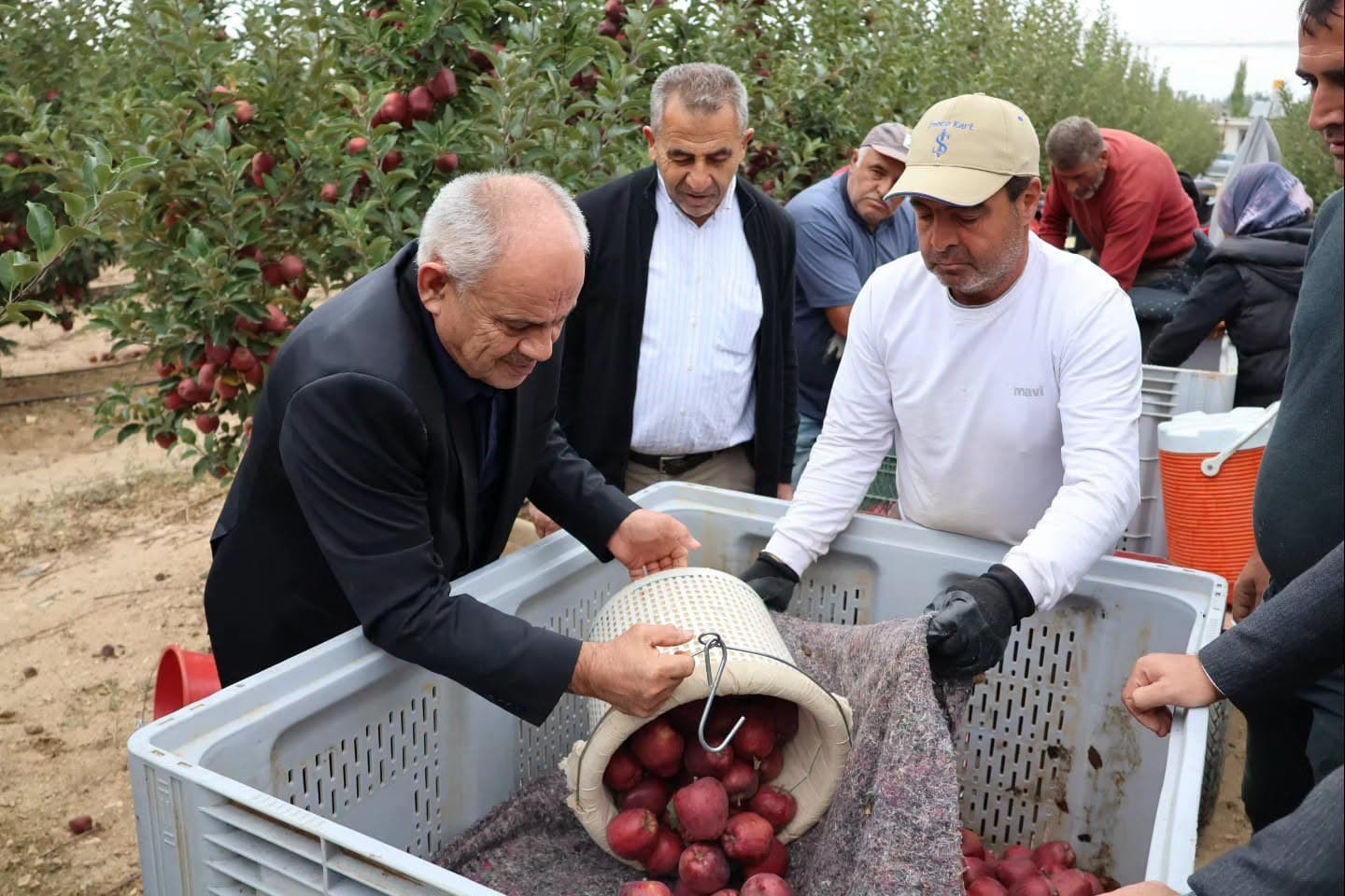 Yahyalı'da Elma Hasadı Başladı: Üreticilere Destek Vurgusu