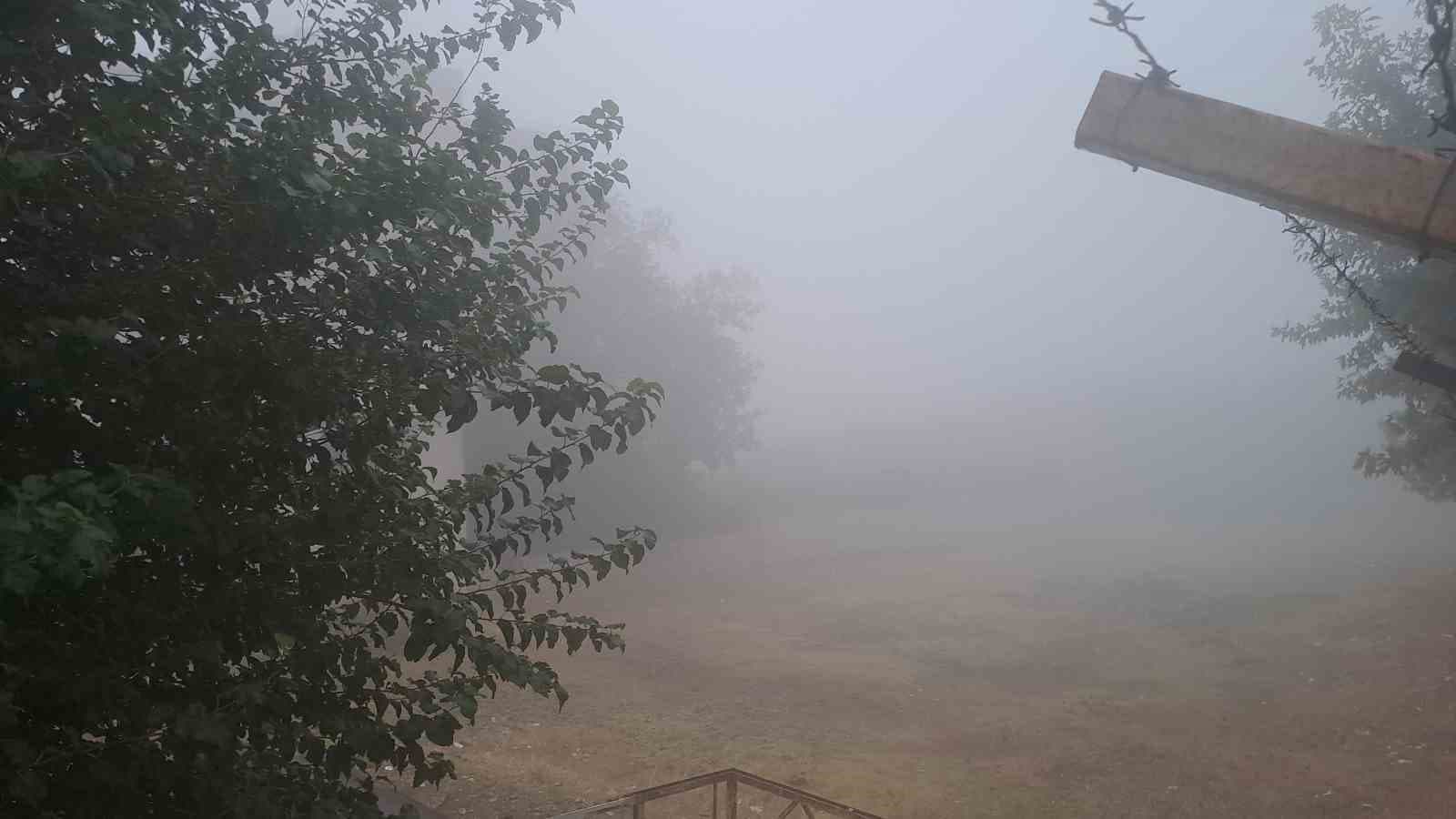 Diyarbakır Silvan'da Sabah Saatlerinde Yoğun Sis Yaşandı