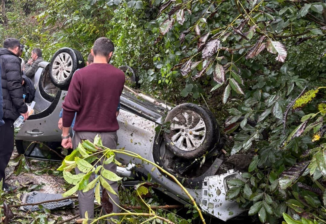 Ordu'da Kontrolden Çıkan Araç Ağaca Çarptı: Bir Kişi Yaralandı
