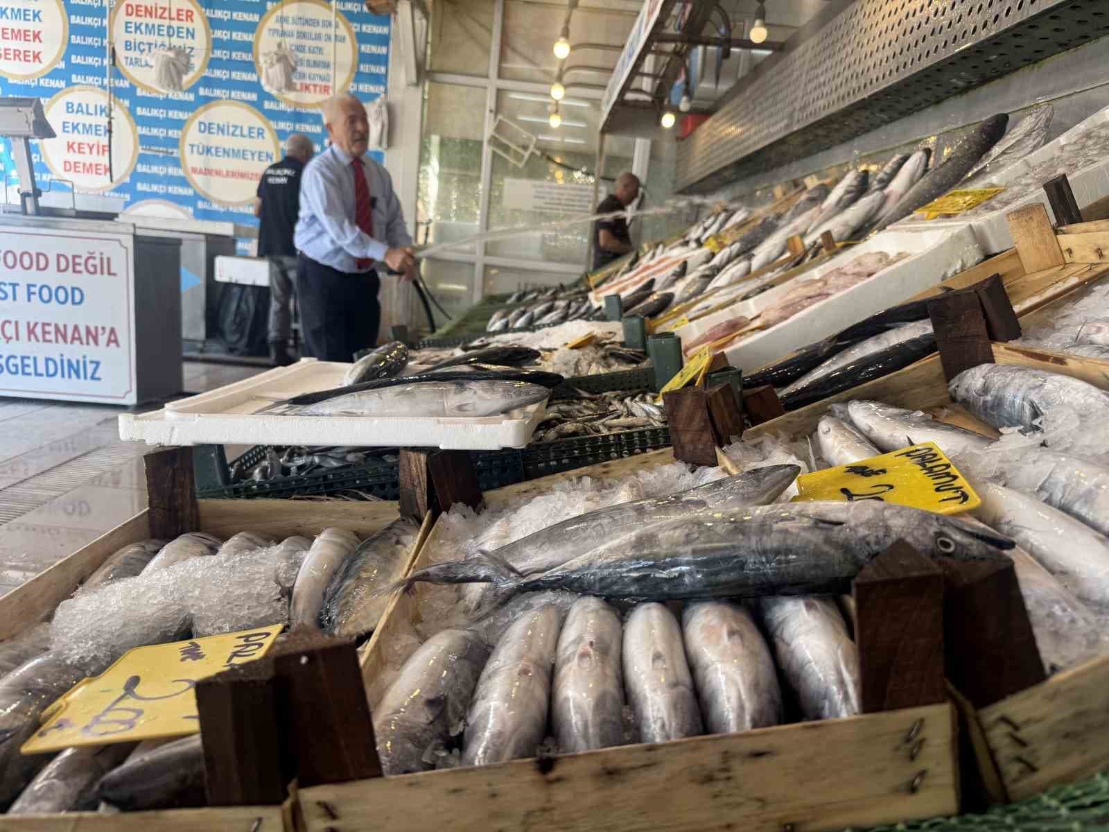 1 Eylül Sonrası Denizlerde Palamut Bolluğu Belirtisi