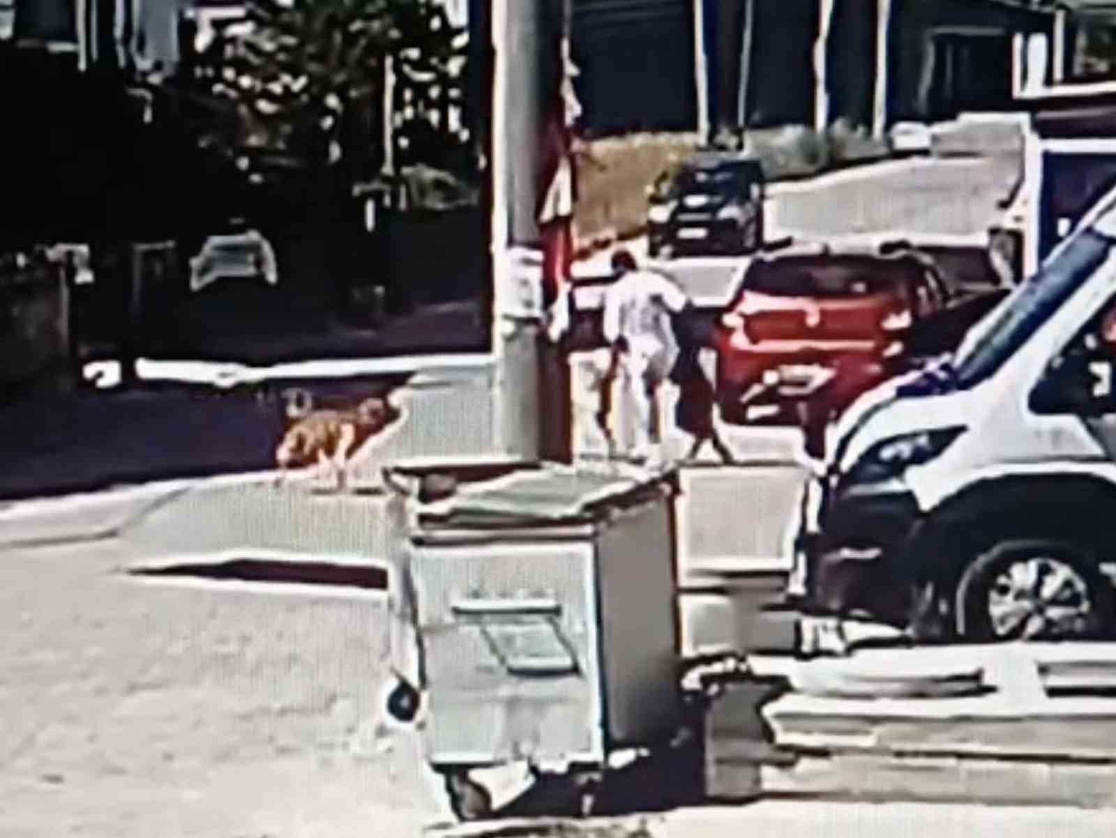 Köpeğini Gezdiren Genç, Sokaktaki Köpek Saldırısına Uğradı