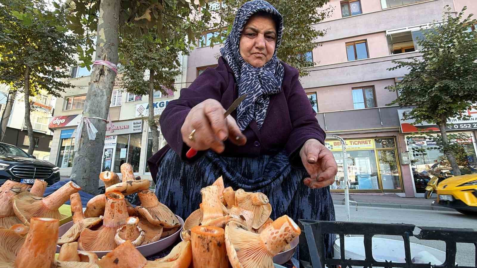 Bolu Ormanlarından Kanlıca Mantarı Toplanıyor, Pazarda Kilosu 600 Liraya Kadar Satılıyor