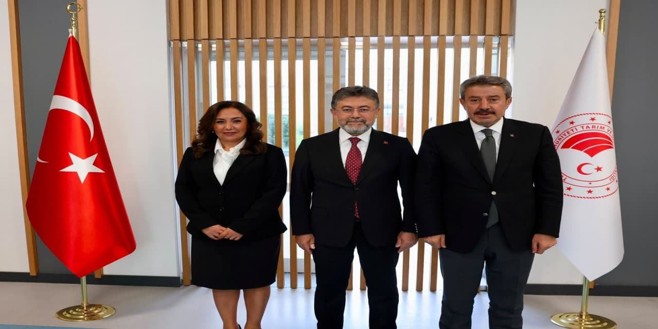 Şırnak'ta Tarım ve Altyapı İçin Yeni Yatırım Planları Görüşüldü