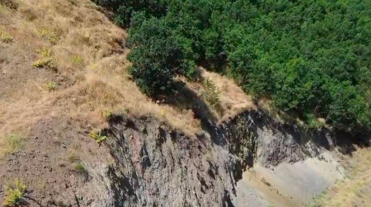 Bingöl'de Nesli Tehlike Altında Olan Dağ Keçisi Drone ile Tespit Edildi