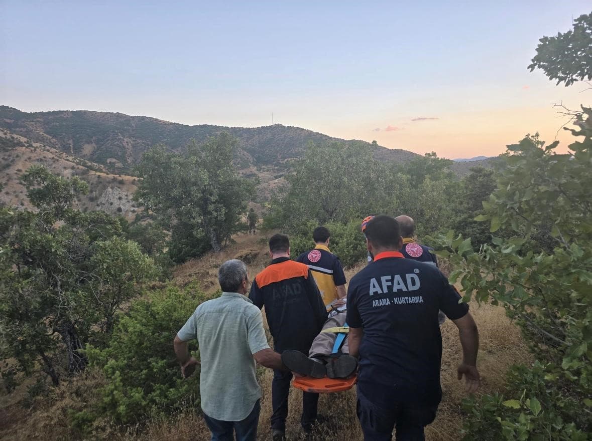Bingöl'de Kayıp Şahıs Ormanda Sağ Bulundu