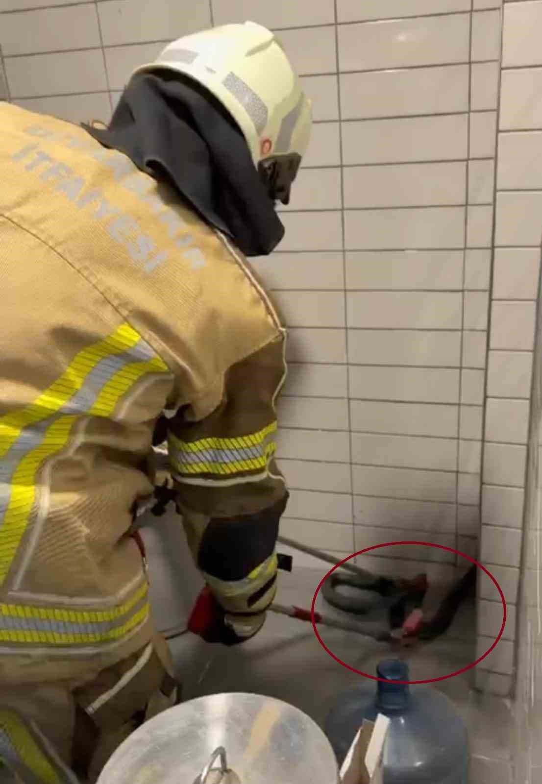 Petrol İstasyonuna Giren Uzun Yılan İtfaiye Tarafından Yakalandı