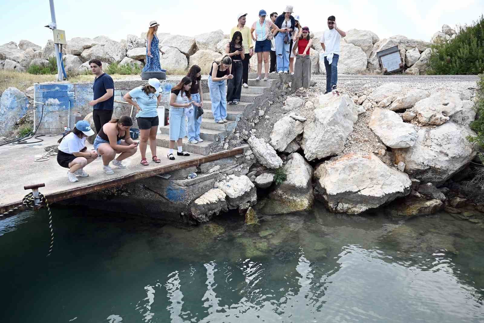 Mersin'de Biyoçeşitlilik Kayıt Altına Alınıyor: MINKA Projesi İkinci Etkinliği Gerçekleştirildi