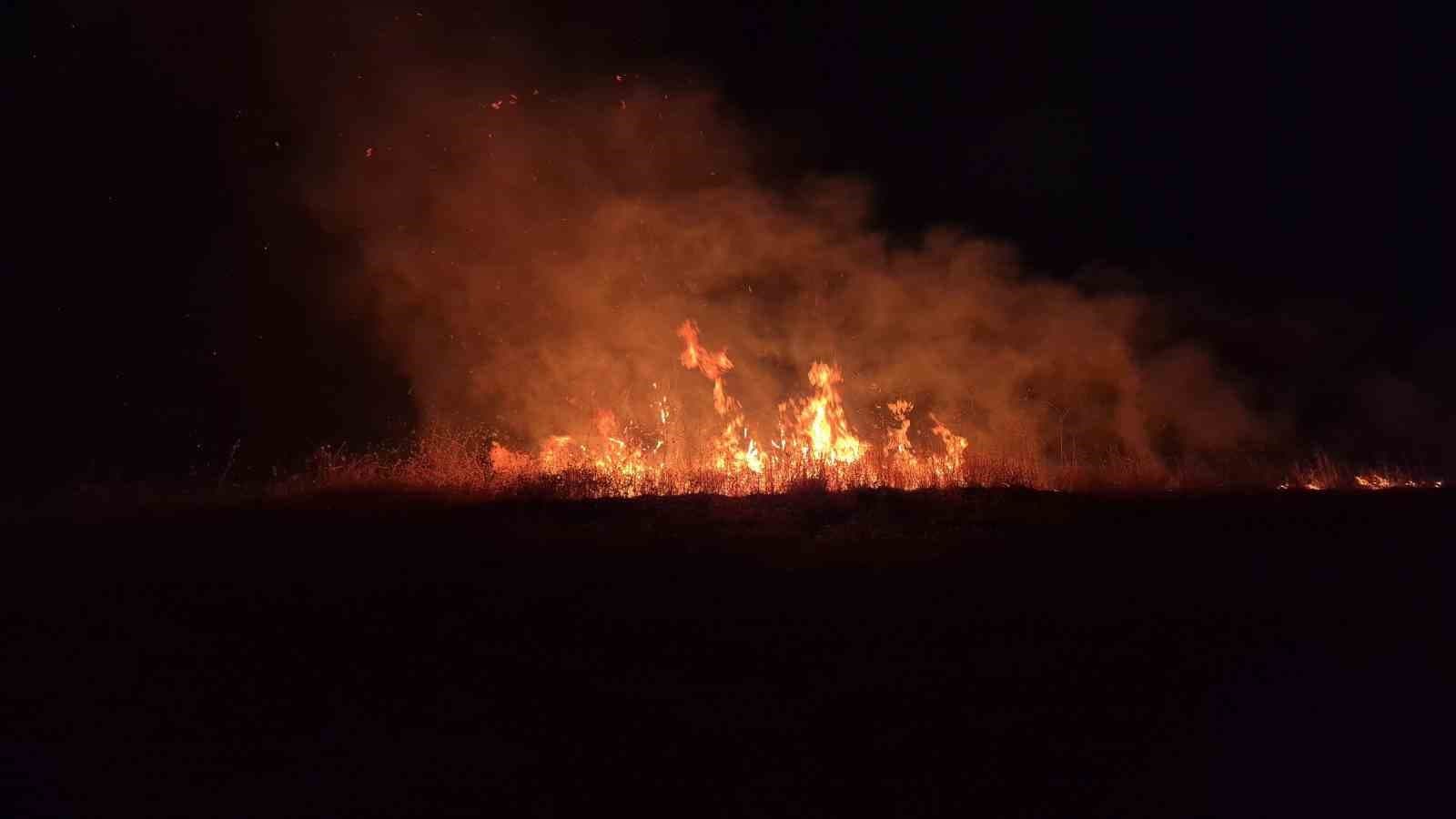 Adıyaman'da Anız Yangını Meydana Geldi