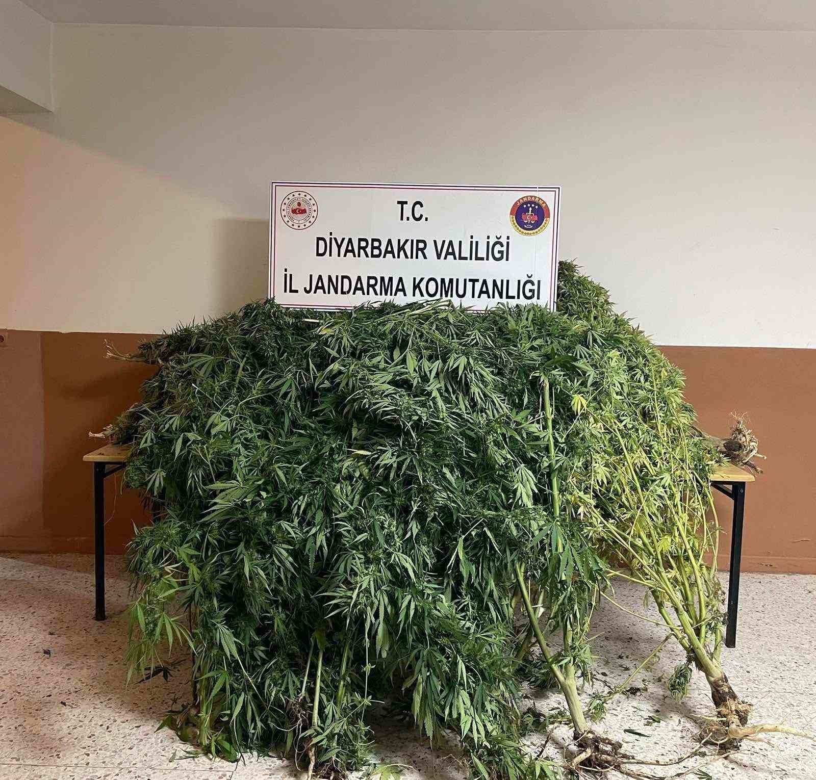 Diyarbakır'da Uyuşturucu Operasyonu: 57 Bin Kök Kenevir ve Metamfetamin Ele Geçirildi