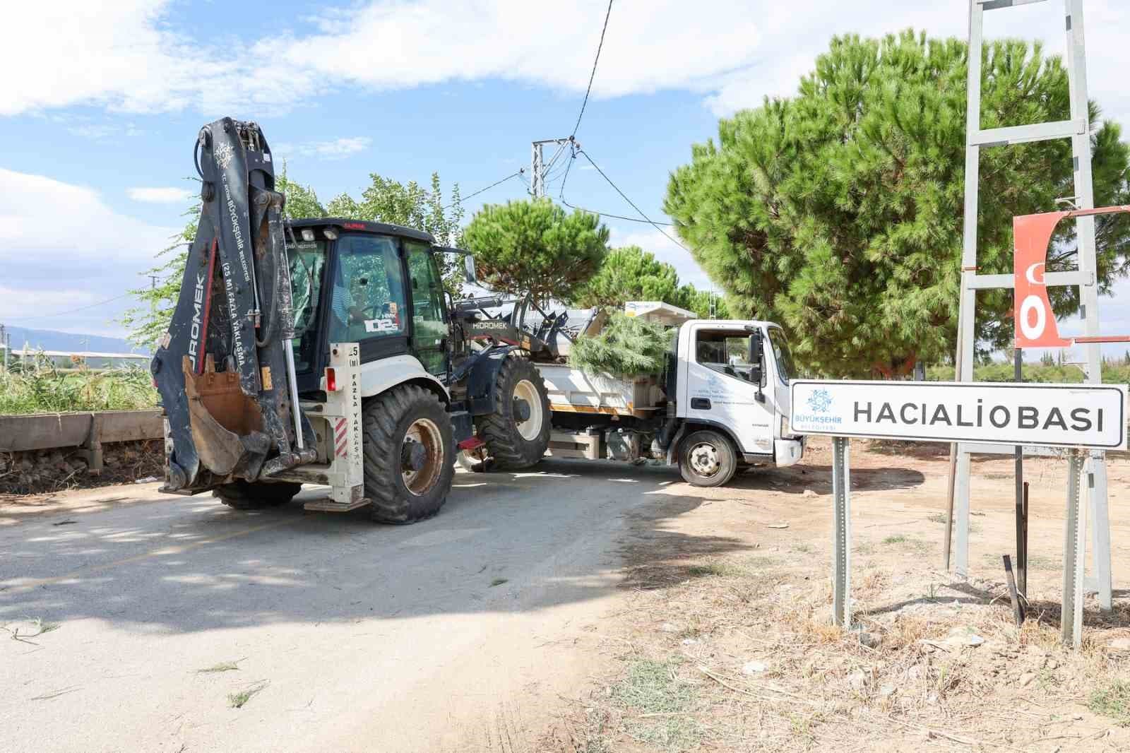 Hacıaliobası'nda Yeşil Alanlarda Kapsamlı Yenileme Çalışmaları Yapıldı