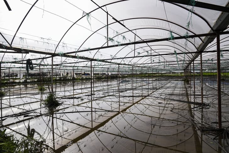 Doğal Afetler İlk Yarıda 900 Bin Dekar Tarım Alanına Zarar Verdi