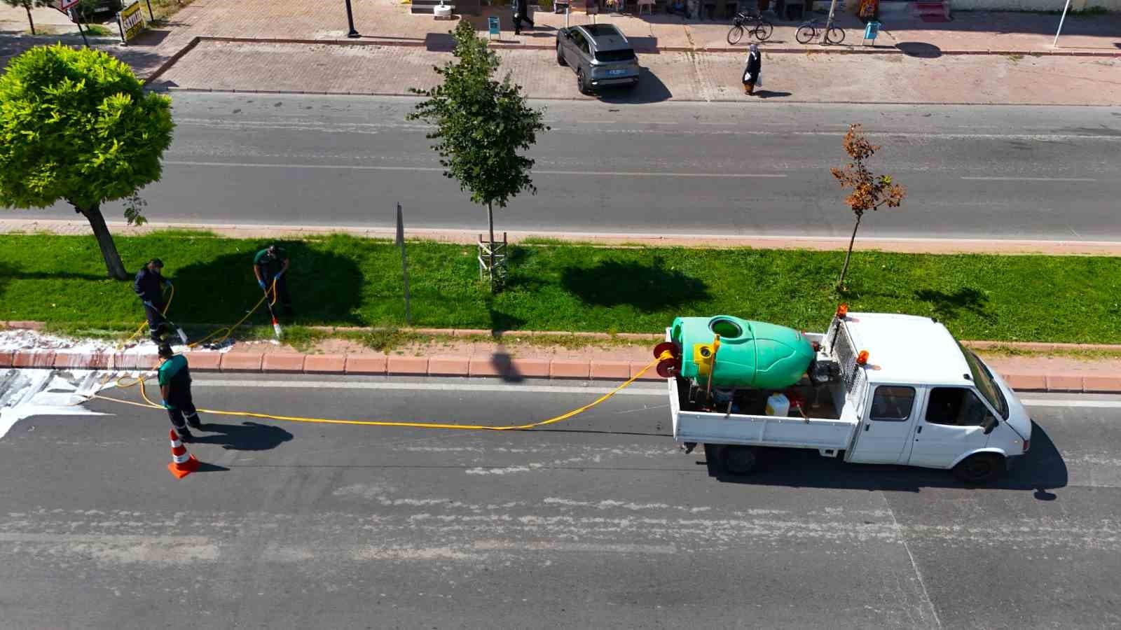 Kayseri'de Yeşil Alanlarda Zararlı ve Hastalıklarla Mücadele Planları Yoğunlaştı