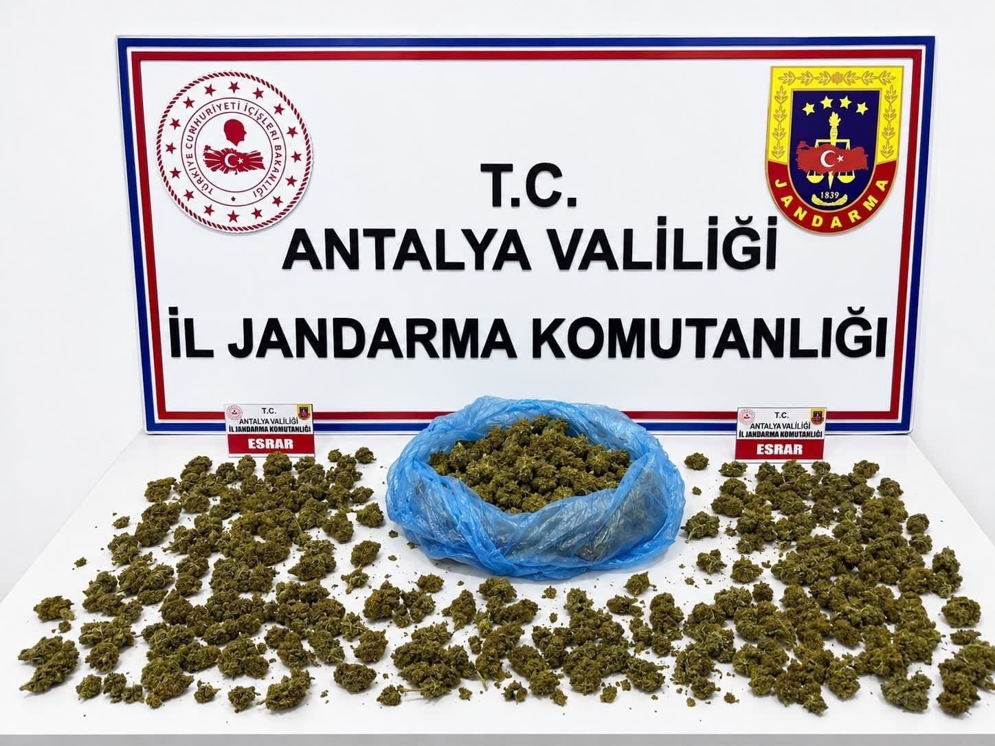 Alanya'da Jandarma Operasyonu: 745 Gram Esrar ve Kenevir Bitkisi Ele Geçirildi