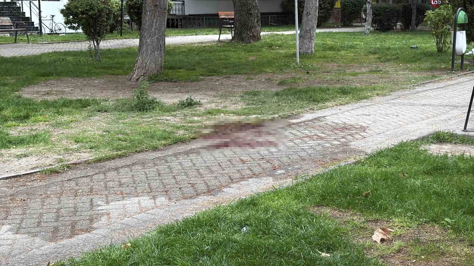 Alkol Sebebiyle Çıkan Kavgada Arkadaşını Bıçakla Yaralayan Şüpheli Yakalandı