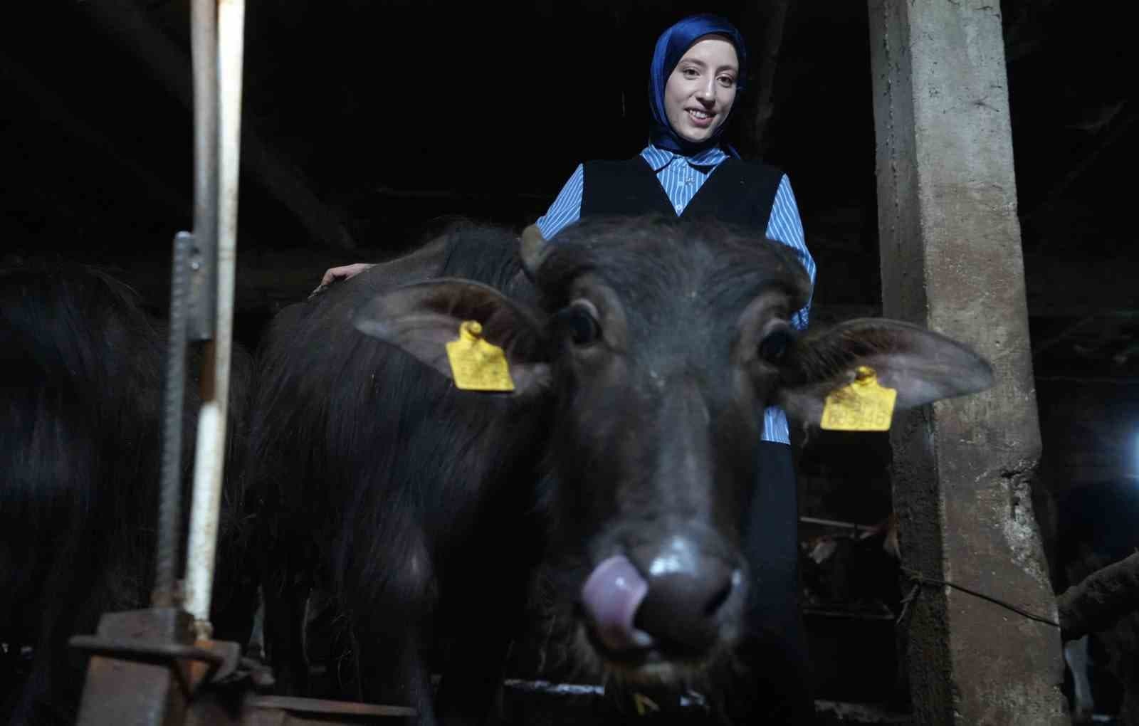 Bayburt'ta Manda Yetiştiricisi Şafak Eraslan'ın Girişimi Köyün İmajını Nasıl Dönüştürdü