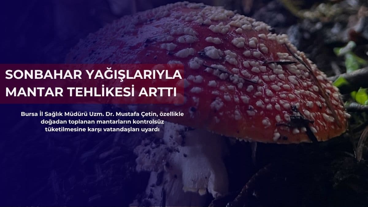 Sonbahar yağışlarıyla mantar tehlikesi arttı