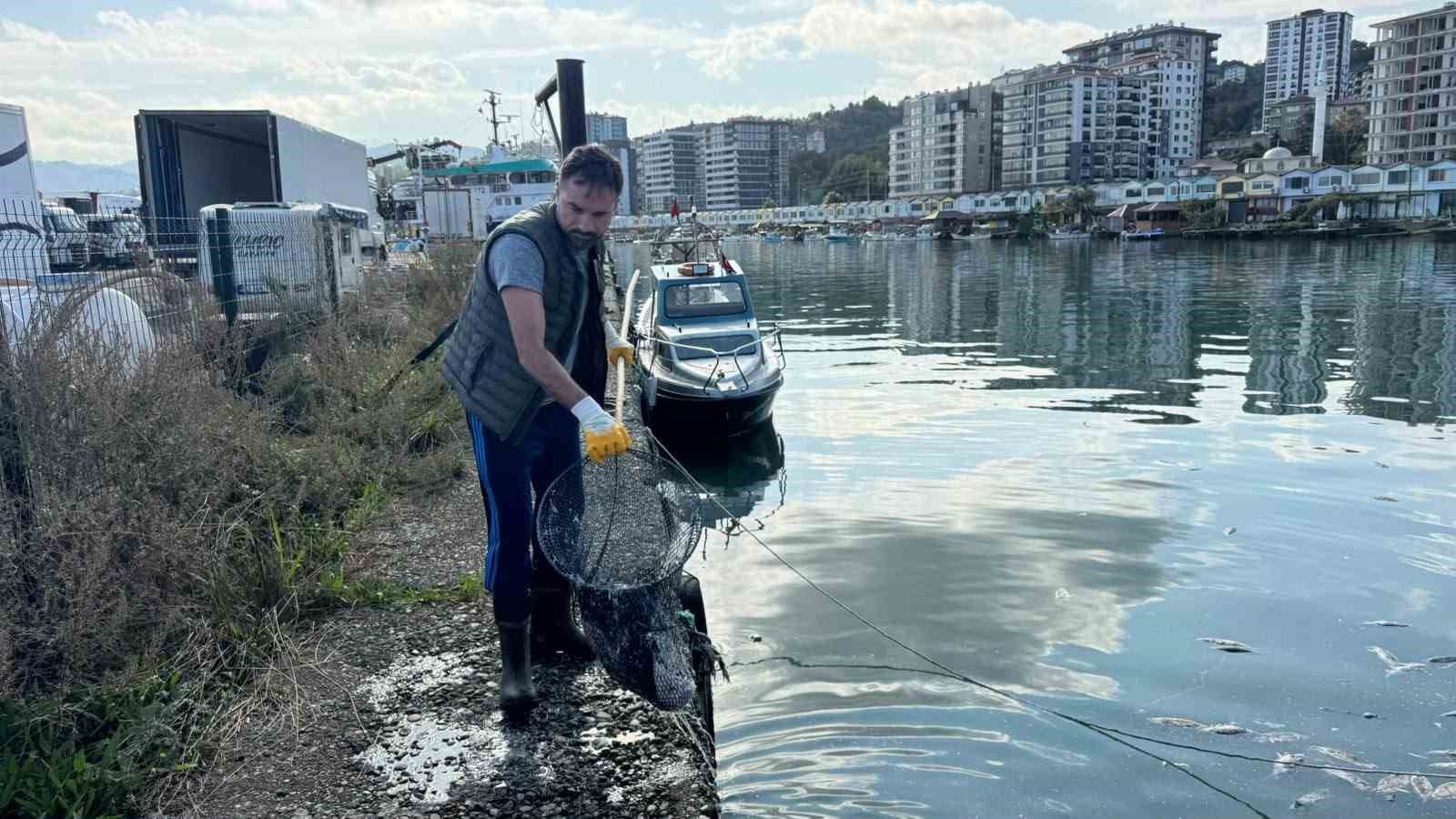 Balık çöplüğüne dönen liman temizlendi